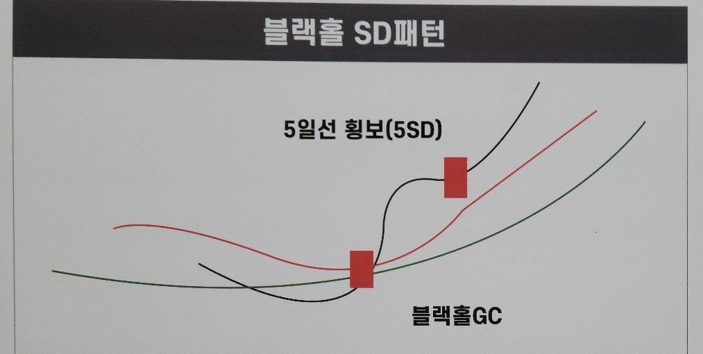 5. 블랙홀 SD패턴의 설명을 위한 도식화
