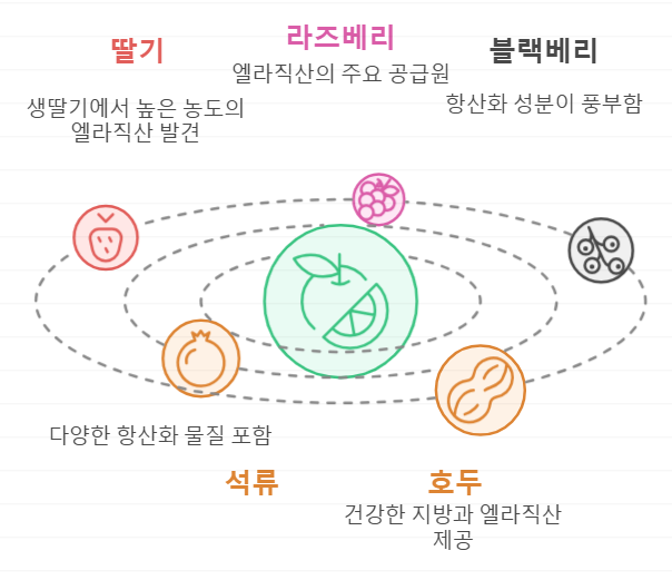 엘라직산 음식