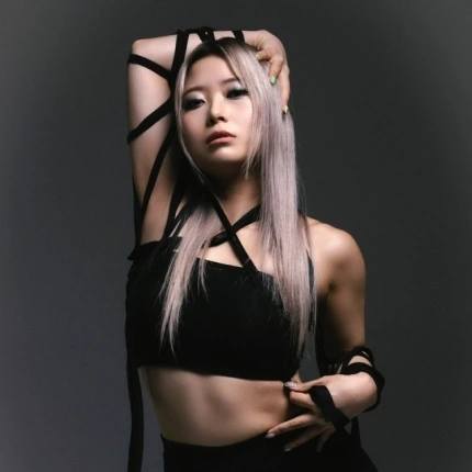 부산스텝업댄스페스티벌 기본일정과 특징 정리