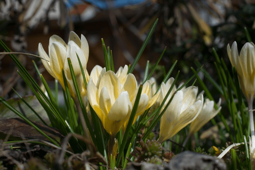 청년 월세 지원 신청방법 - 2025년 최신 가이드관련사진