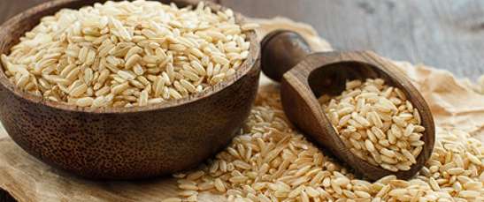 콜레스테롤 낮추는 음식 - 현미