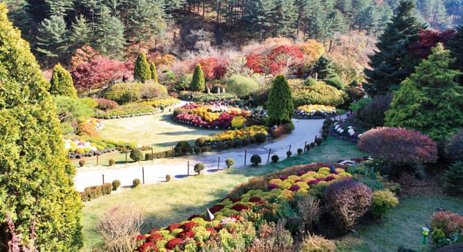 아침고요수목원