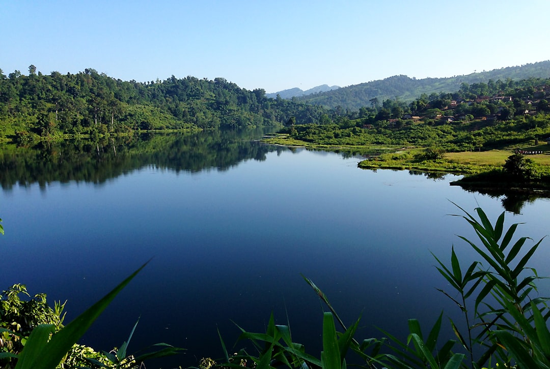 Pond