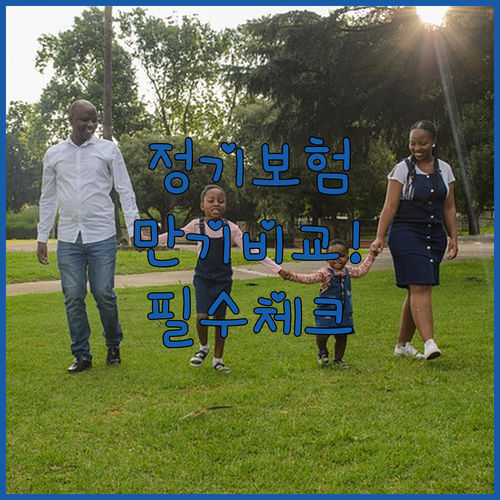 사회초년생과 가장을 위한 정기보험 만..