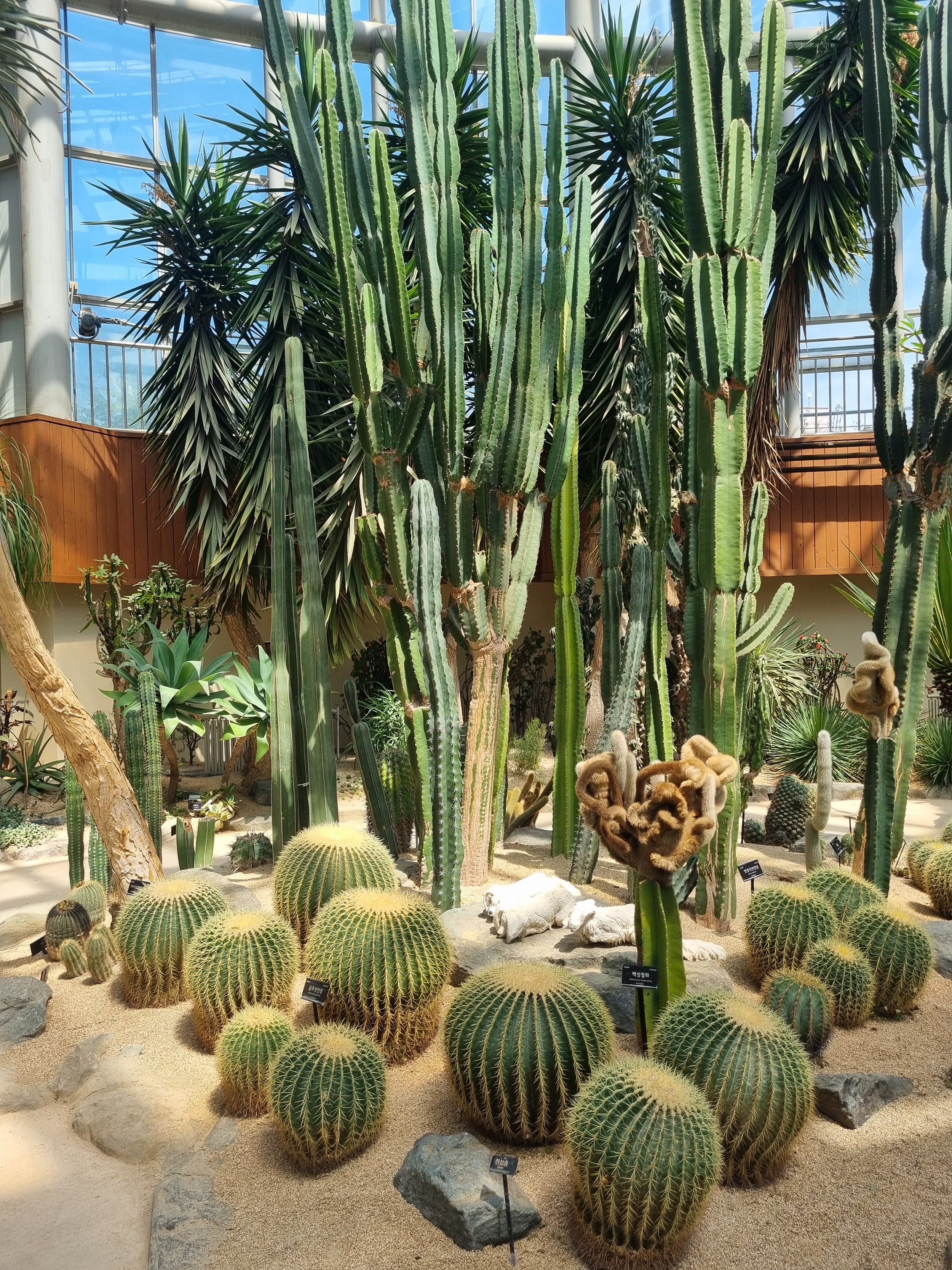 부천 가볼만한 곳 자연생태공원