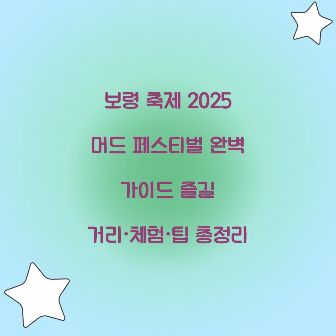 보령 축제 2025 머드 페스티벌