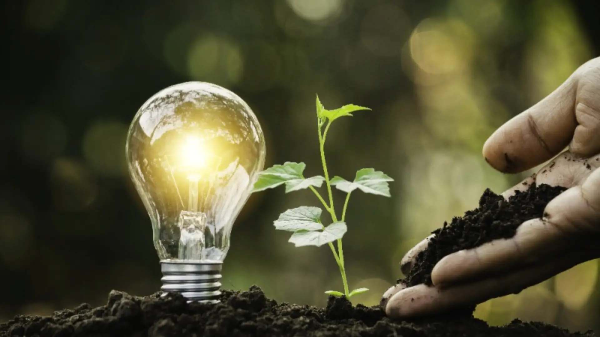 청년 주택드림 청약통장 가입 조건&amp;#44; 신청방법(가입전환)