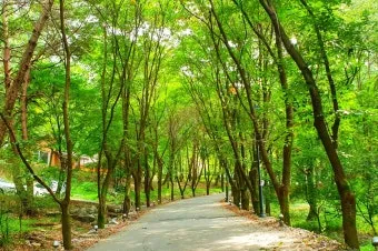 자연 속 힐링 2025년 국립자연휴양림 여름 명소 추천 3곳 완벽 여행_2