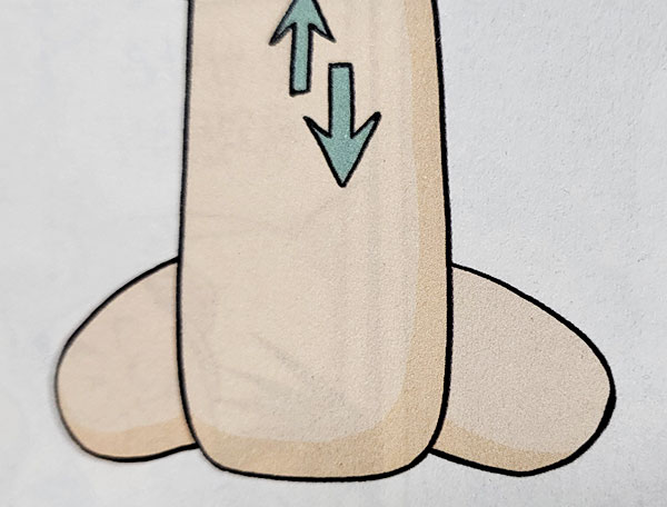 코는 기운이 드나드는 통로