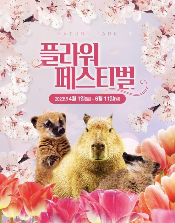 플라워페스티벌