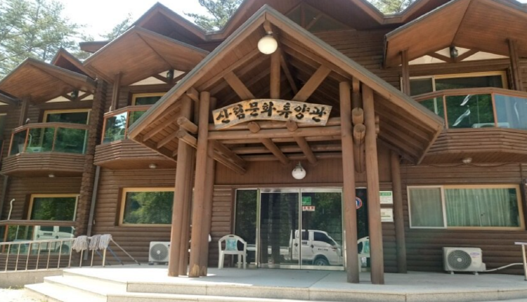 태백고원 자연휴양림