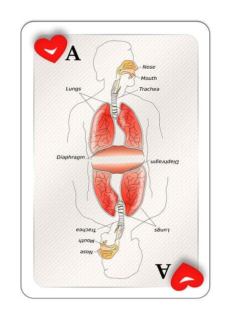 결핵의 원인과 증상 검사 방법과 전염성과 치료방법
