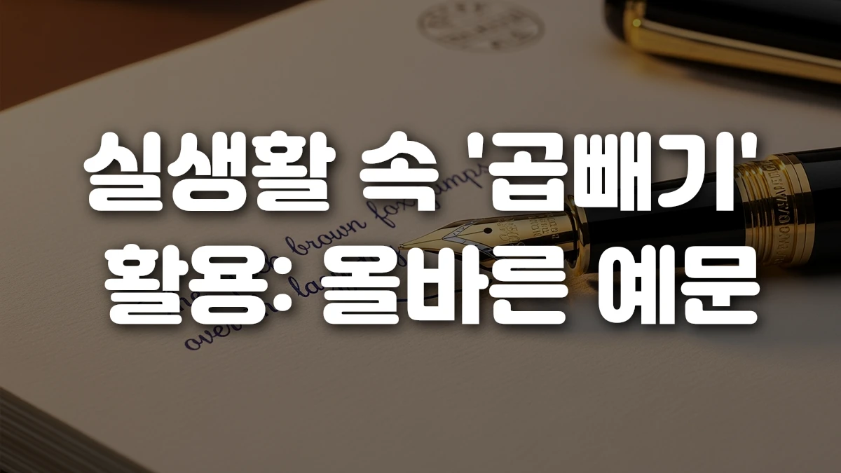 실생활 속 곱빼기 활용 올바른 예문