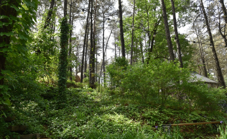 연미산 자연미술공원