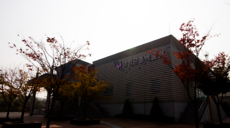 양평 곤충박물관