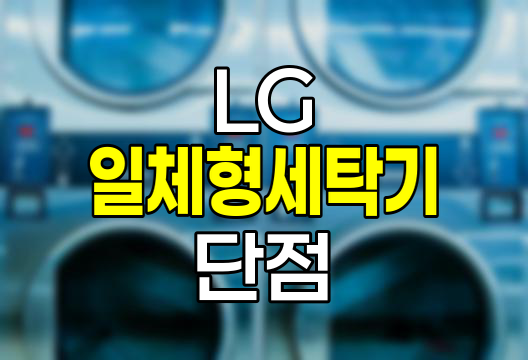 LG 세탁기 건조기 일체형의 단점과 실용성 분석