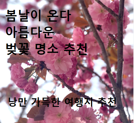 봄날 벚꽃 명소 추천