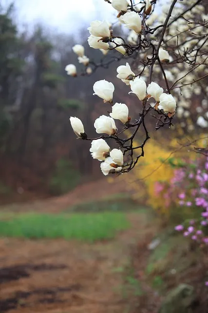봄비 인사말 이미지 비오는날 일러스트_5