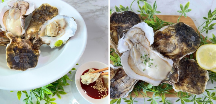 생생정보 미스터 Lee의 사진 한 컷, 대한민국 – 435번째 미션! 하동 섬진강 벚굴수산 주문하기