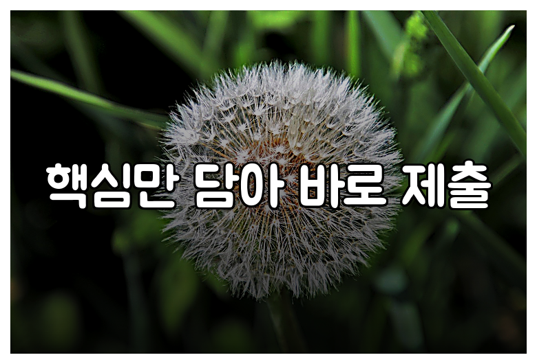 핵심만 담아 바로 제출