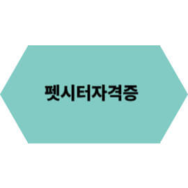 펫시터 자격증 완전 정복: 취득 방법부터 전망까지