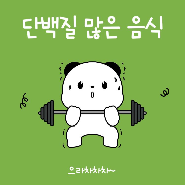 단백질 많은 음식