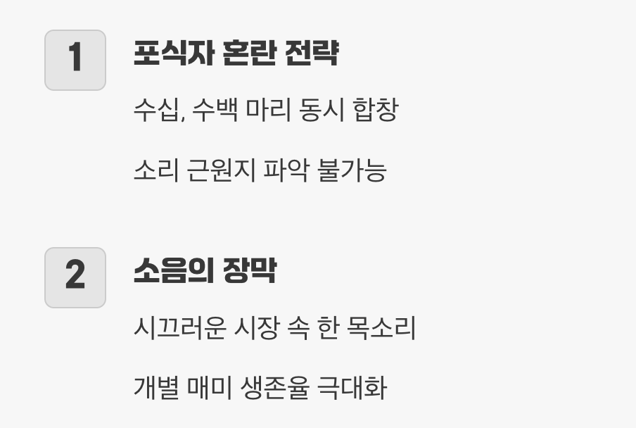 천적을 교란시키는 집단 합창 전략
