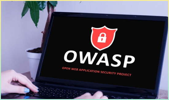 컴퓨터 화면의 개방형 웹 응용 프로그램 보안 프로젝트 개념인 owasp