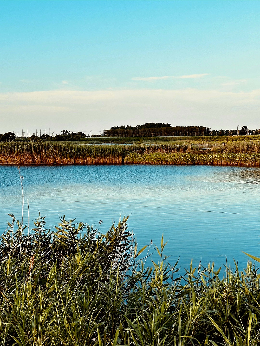 더운-속초-날씨입니다.
