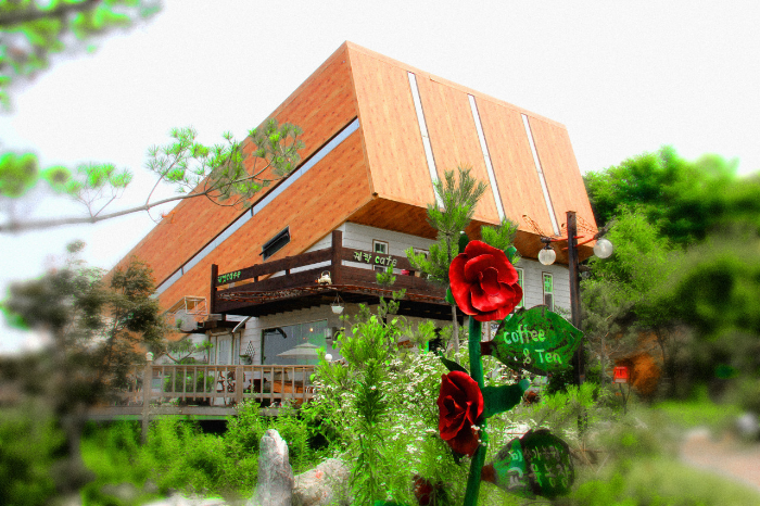 MBC 생방송 오늘 저녁 2219회 궤짝카페