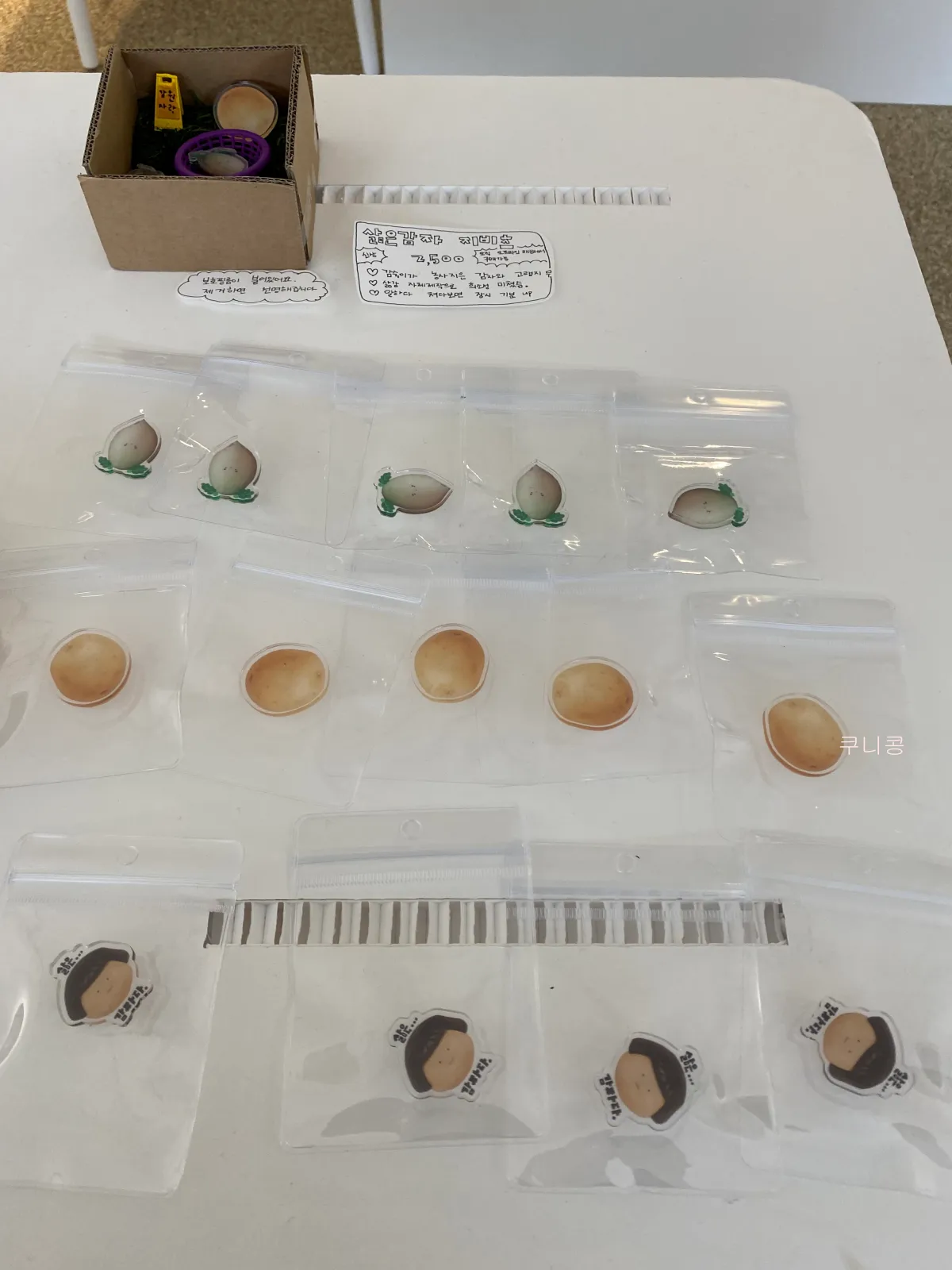 강릉-여행일정-소품샵-투어-귀여운-감자-캐릭터가-있는-삶은감자