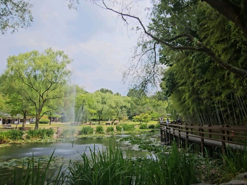 죽녹원