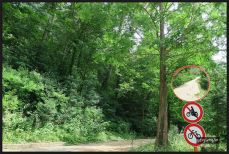 용인자연휴양림