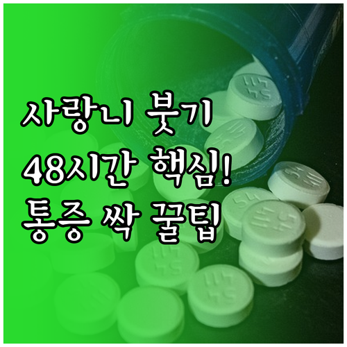 사랑니 발치 후 붓기와 통증 48시간..