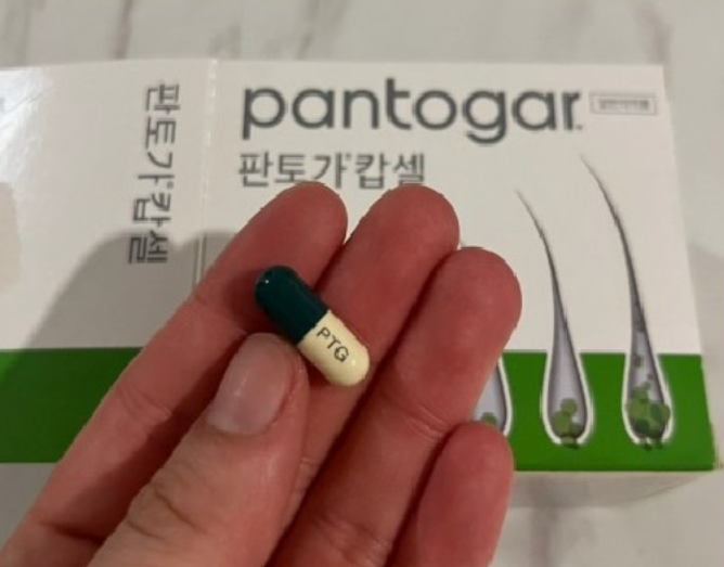 판토가 내돈내산 후기