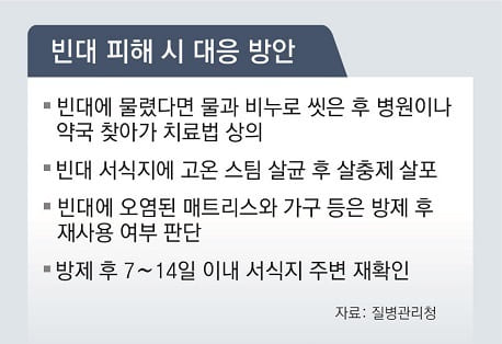 빈대 피해 시 대응 방안