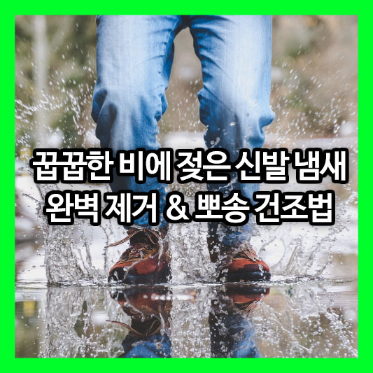 비에 젖은 신발 냄새, 이렇게 잡으세요! 초간단 건조 & 살균 탈취 꿀팁