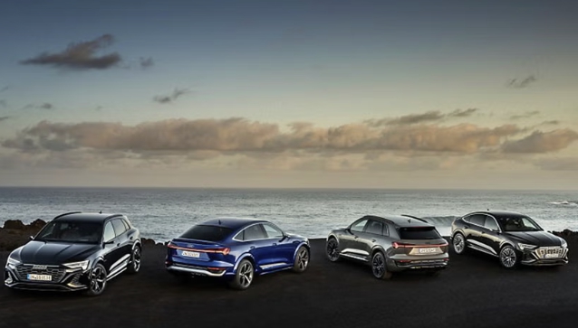 폭스바겐 AG의 자회사 아우디