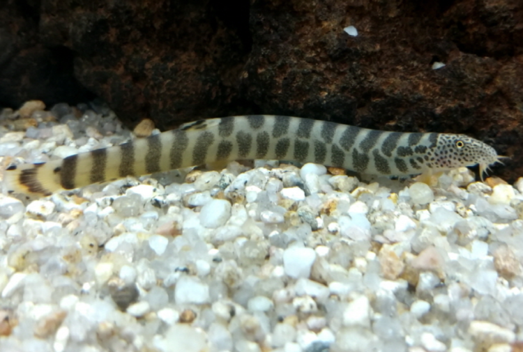 부천 자연생태공원