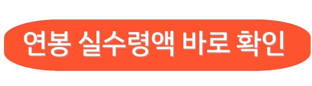 연봉실수령액 확인