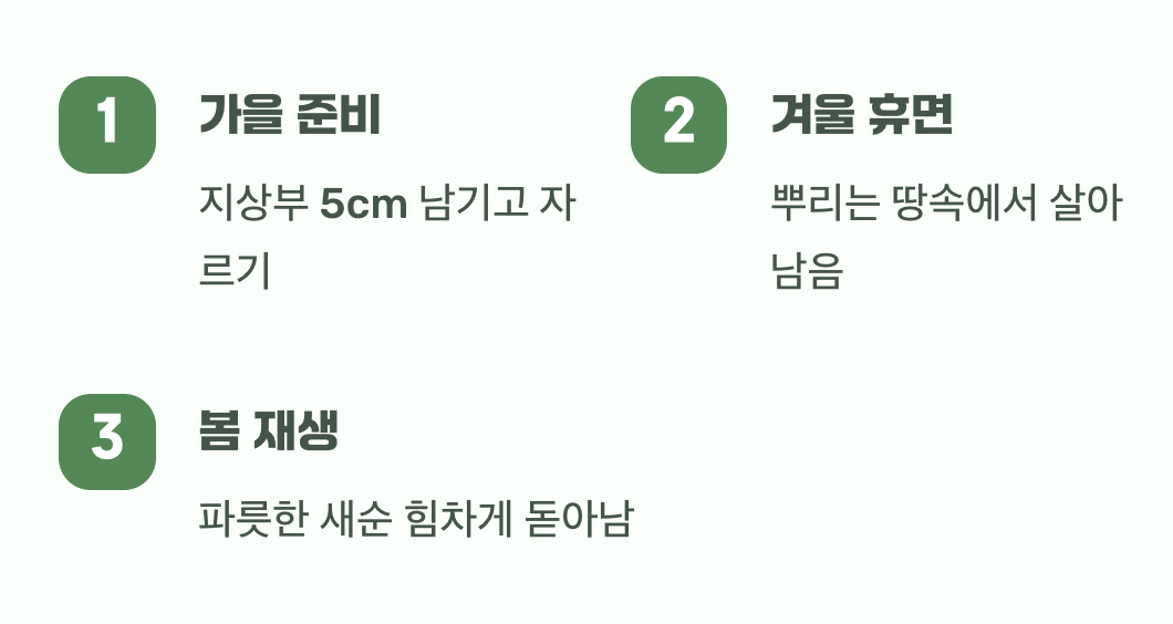 두려움 없는 겨울나기, 스스로 강해지는 법