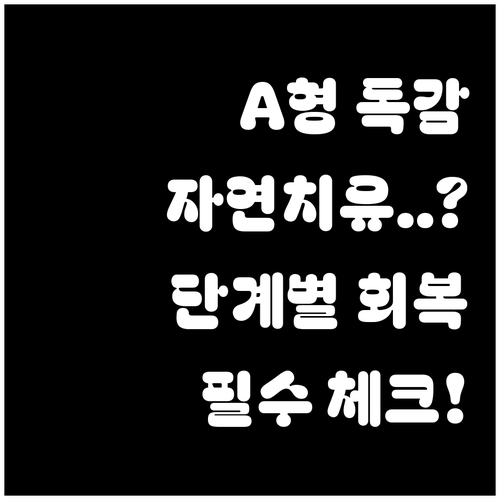 A형 독감 자연치유 기간과 단계별 회..