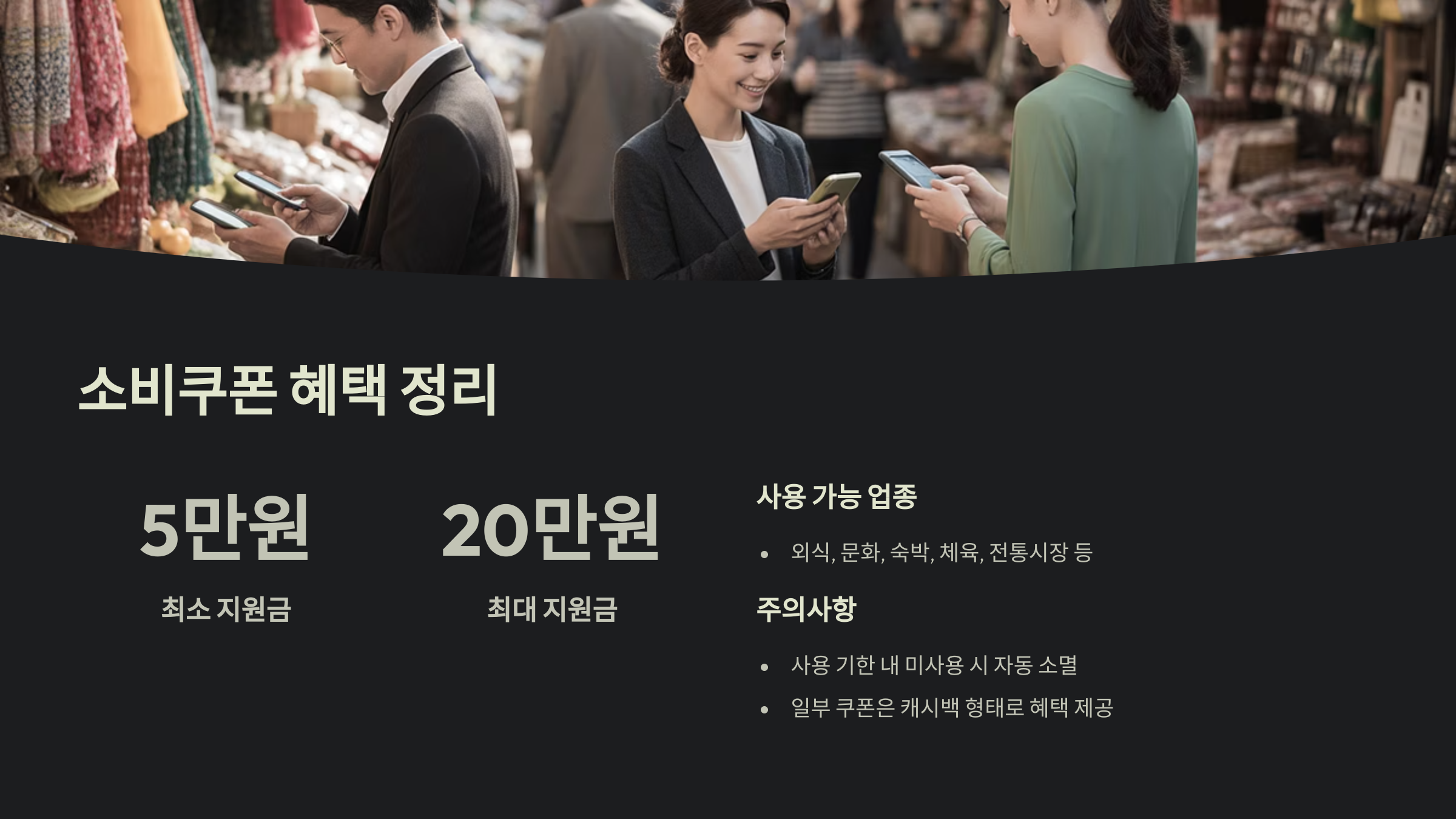 소비쿠폰 혜택 정리