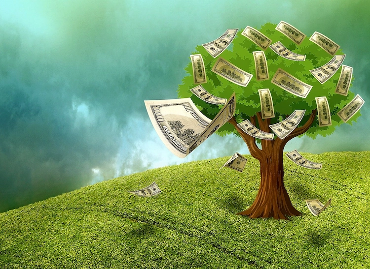asset protection