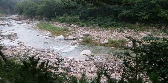 수봉야영장