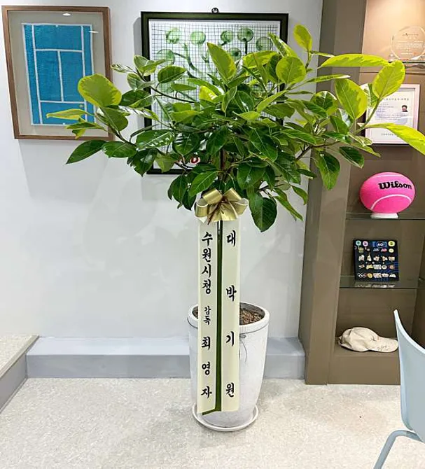 철테니스 다산본점