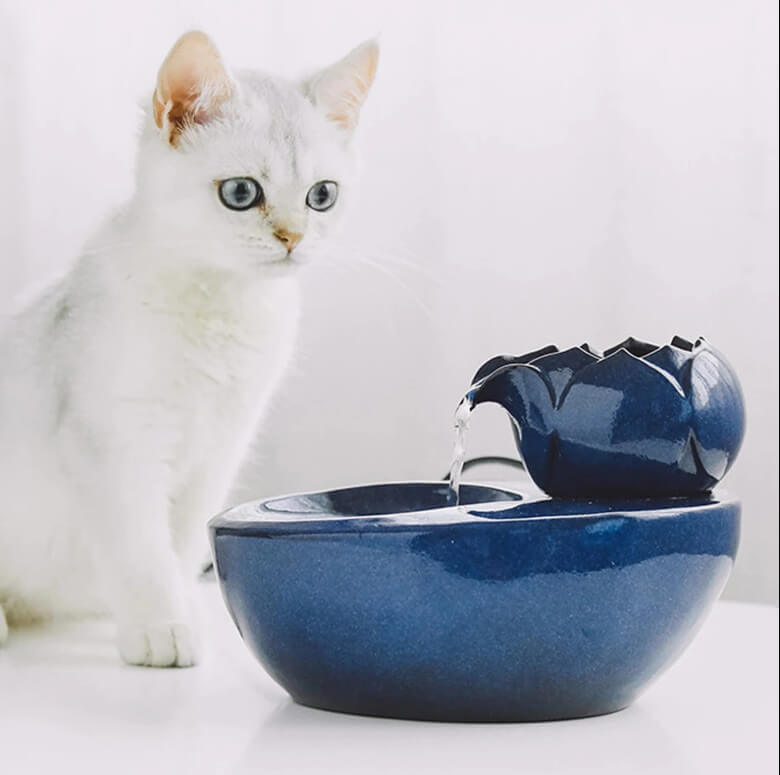 고양이 정수기