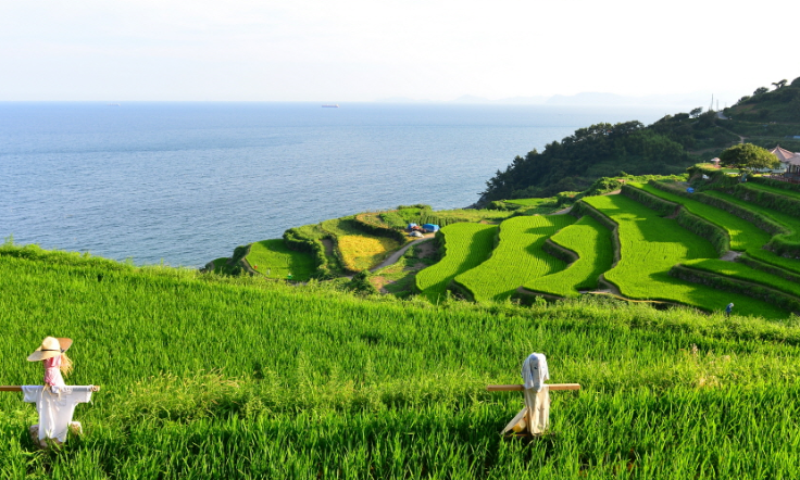 남해 가볼만한곳 베스트10