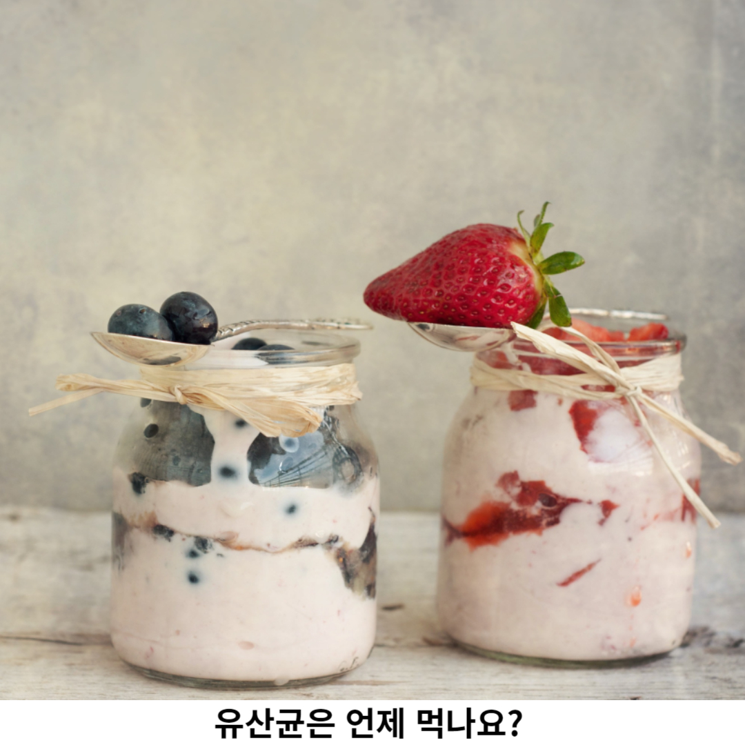유산균은 언제 먹나요
