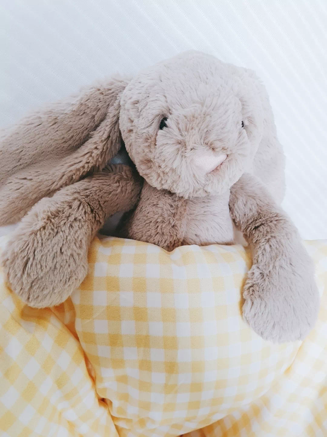 젤리캣 버니 이불4